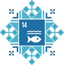 SDG 14